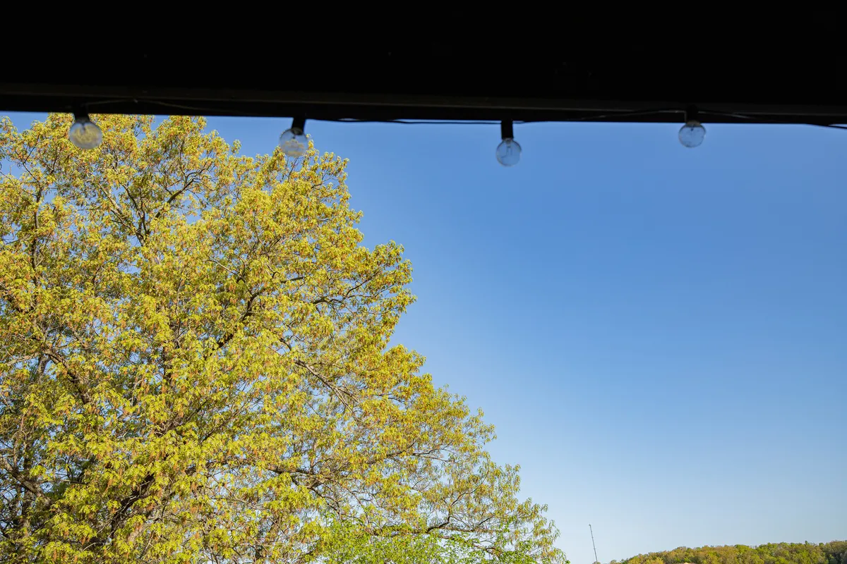 A serene outdoor scene featuring a large, leafy green tree beneath a clear blue sky. Hanging string lights create an inviting atmosphere, hinting at the perfect spot for romantic evenings or peaceful mornings. The foreground suggests space for outdoor relaxation or dining, with a natural lakeside vibe.
